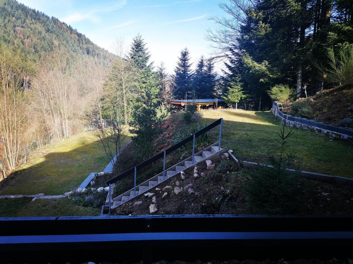 Haus Schwarzwaldblick Villa Hornberg Exteriör bild